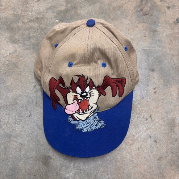 Looney Tunes Mania Other - Vintage 1995 Taz Tasmanian Devil Looney Tunes Snapback Hat Head Start 90s Cap